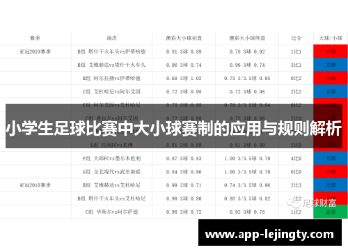 小学生足球比赛中大小球赛制的应用与规则解析